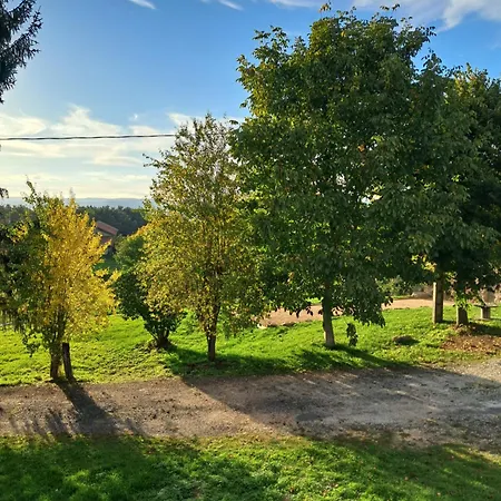 Les Berlingots For 10-12 Personnes *